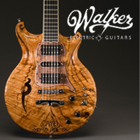 Scott Walker Guitars