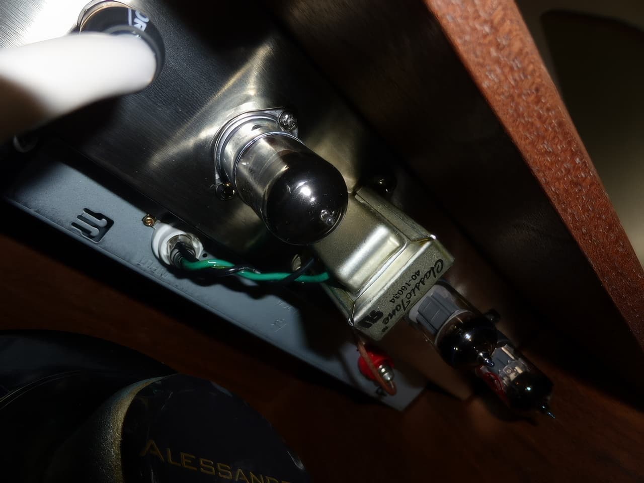 Alessandro Crossbred Mutt Amp