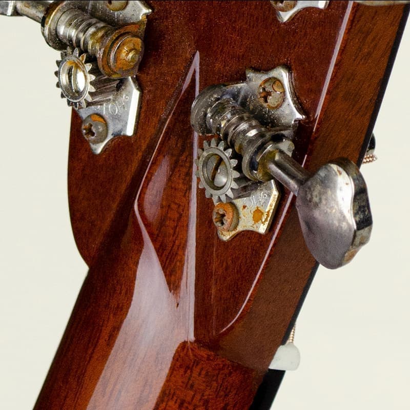 The Volute
