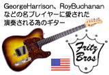 FlitzBrosGuitars