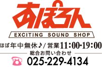 エレキギターの通販、ちょっと面白い楽器店