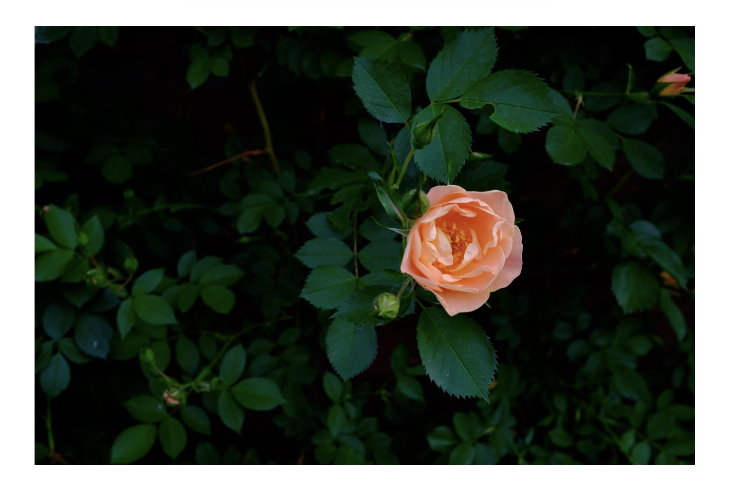 img20250826220450939281.png