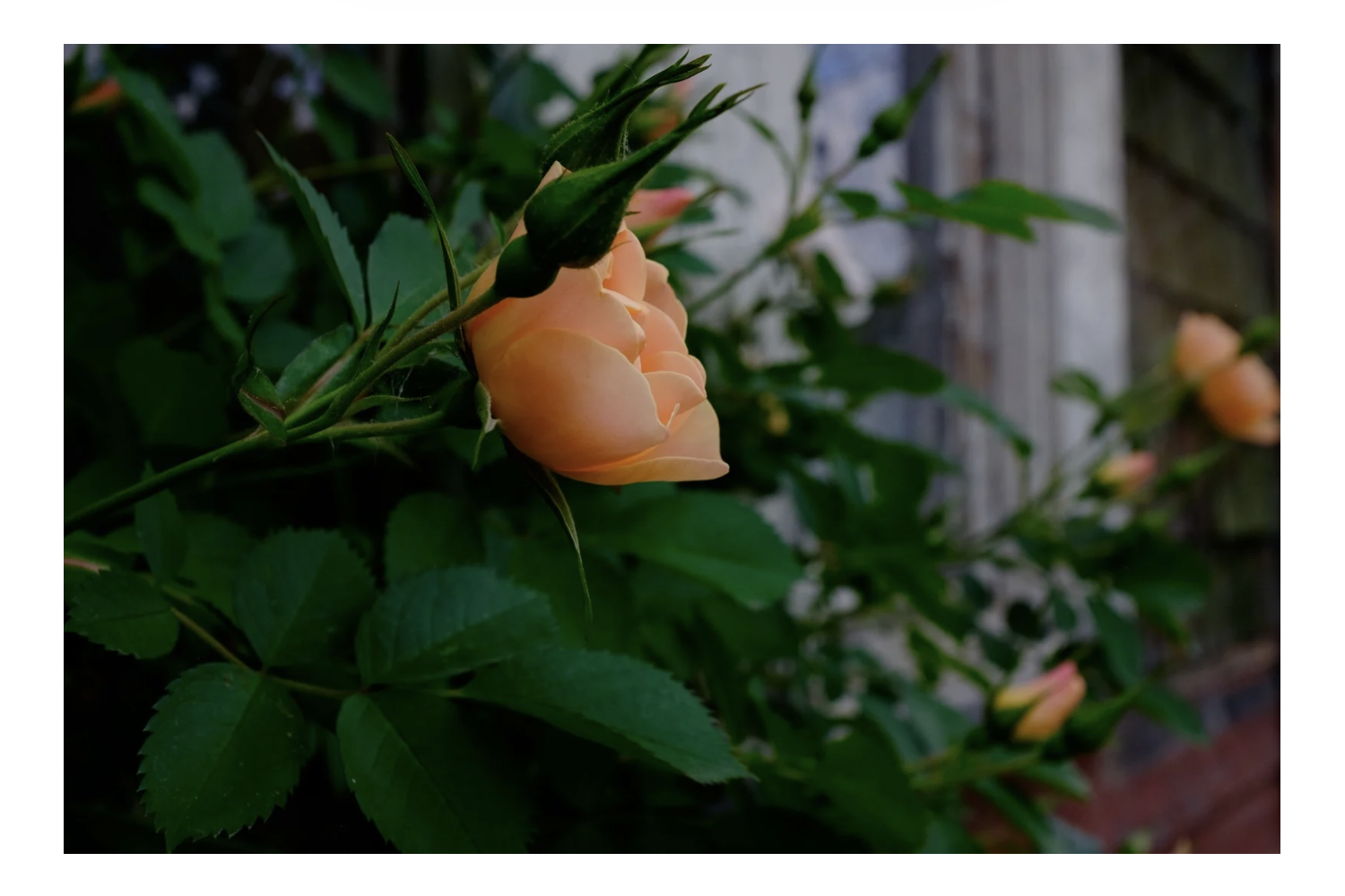 img20250826220450831891.png