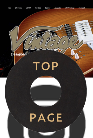 JHS Vintage TOP VINTAGE Guitars