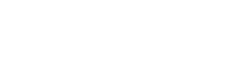 STANDARD