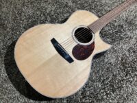 【トランスアコースティック】enya EA-Q1 EQ