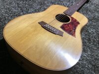 【オーストリア製12弦エレアコ】Cole Clark FL2A-12/USED 【オーストリア製12弦エレアコ】Cole Clark FL2A-12/USED