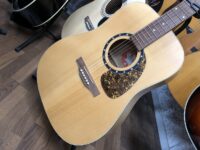 【良質お手頃カナダ製】Norman Encore Series B20/USED 【良質お手頃カナダ製】Norman Encore Series B20/USED