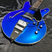 赤ラベルARE】YAMAHA Red Label Series FGX5 | あぽろん | 新潟の楽器