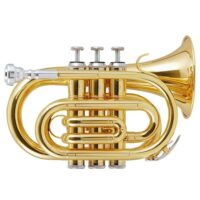 【管楽器】小さいサイズが可愛い!ポケットトランペット♬ 【管楽器】小さいサイズが可愛い!ポケットトランペット♬